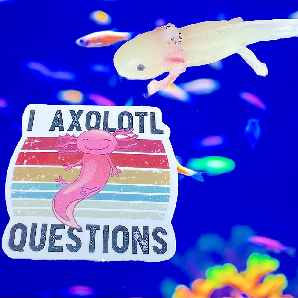 I AXOLOTL Qs Axolotl Crazy Trending WaterProof Single Decor Accent Sticker